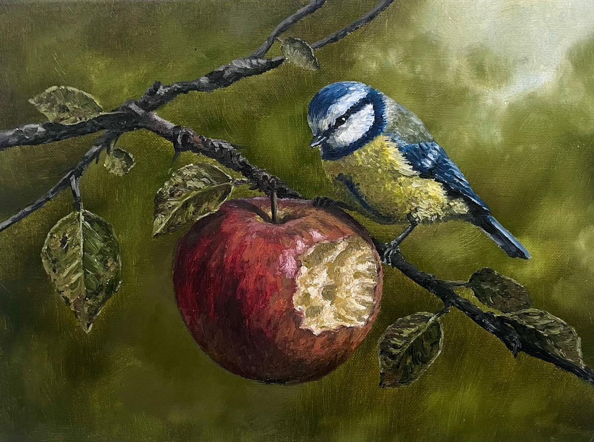 Bird Paintings - Coming Soon!
